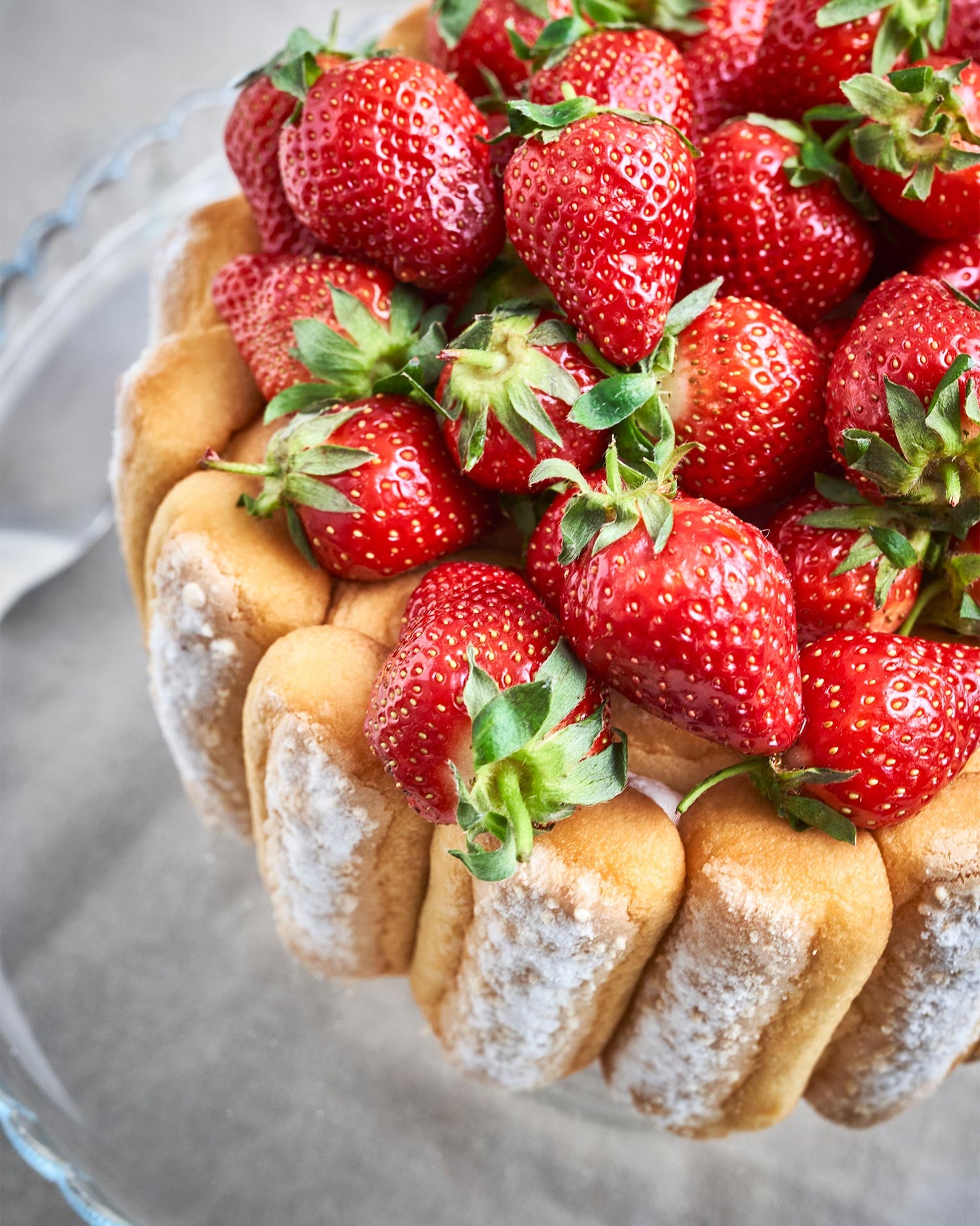 Charlotte aux fraises