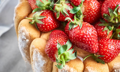 Charlotte aux fraises