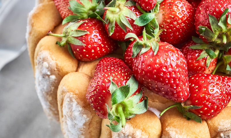 Charlotte aux fraises