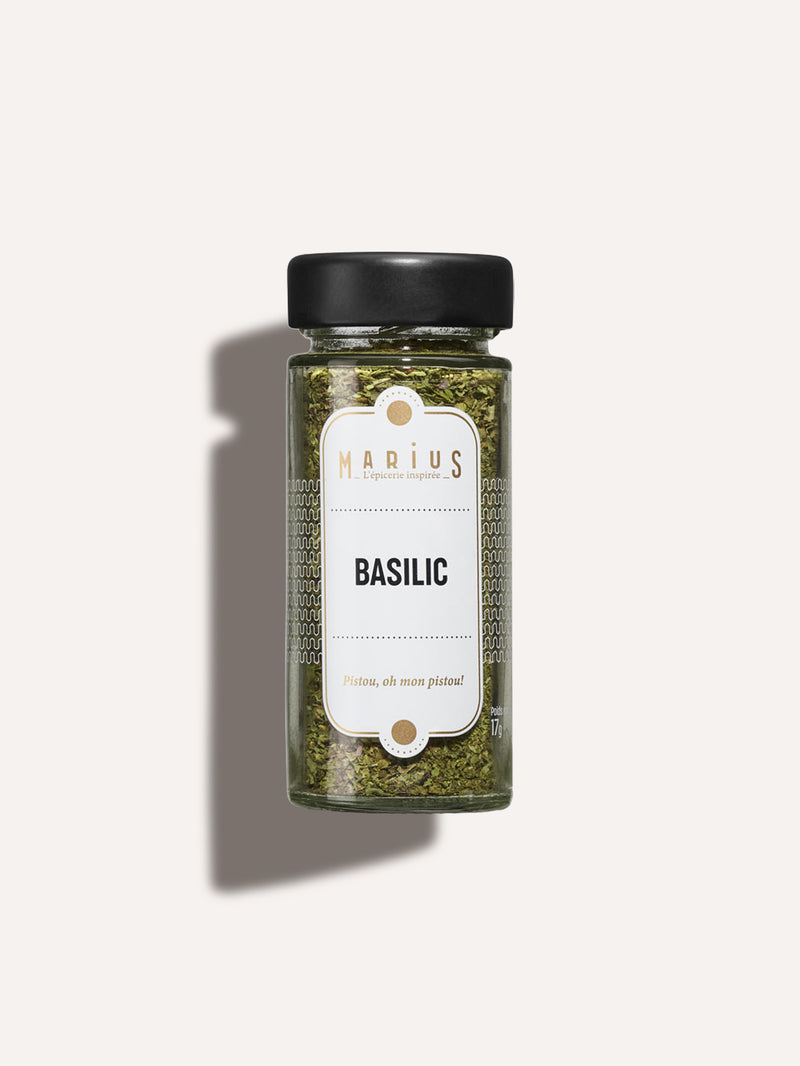 Basilic aromate MARiUS